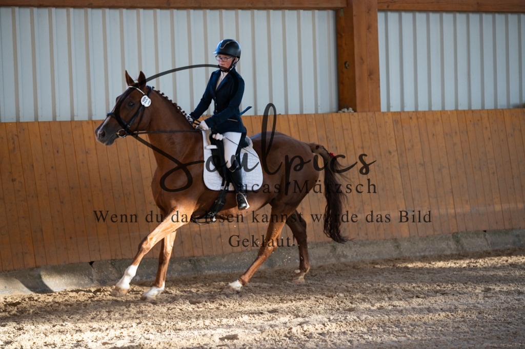 A7V01592 | Turnier/Reitfotograf