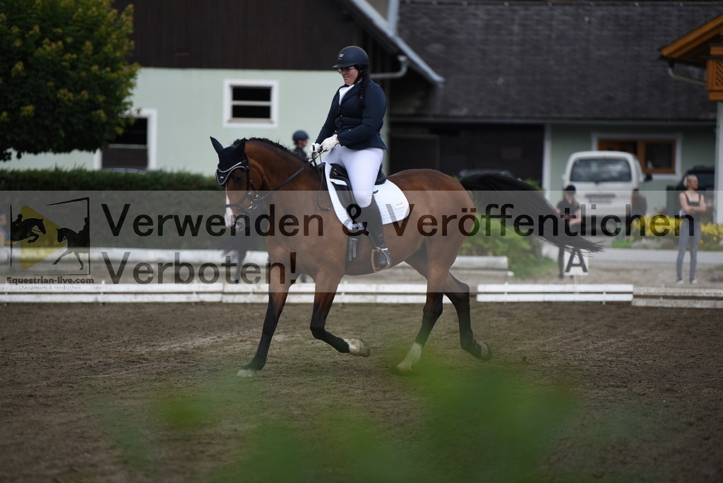 DSC_4102 | equestrian-live-com