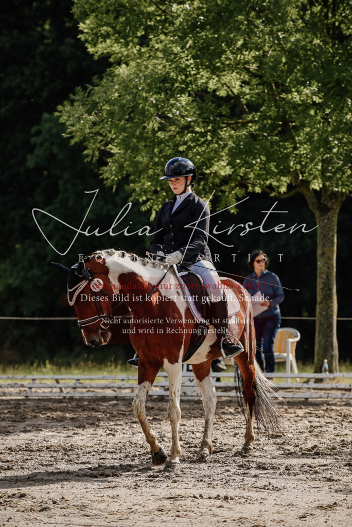 DSC_8711 | Pferde- und Turnierfotografie in Westsachsen. Pferdeportraits, Auftragszeichnungen und intuitive Kunst.