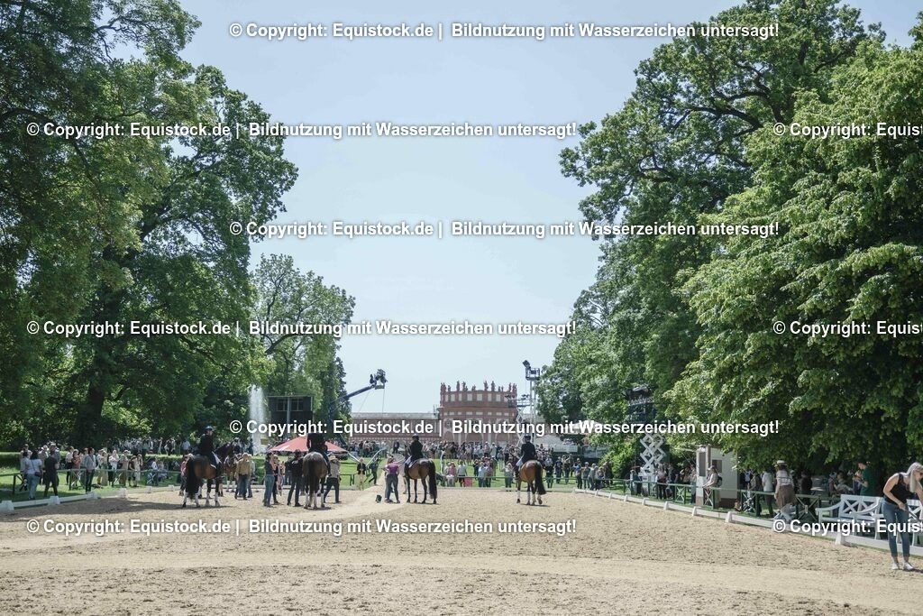 ZFC_4049 | equistock