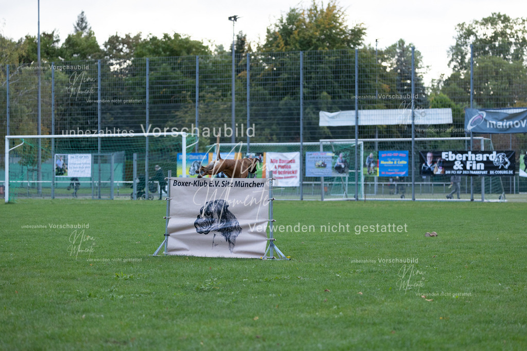 _16A4754 | Einzigartige Fotos von Hunden & Menschen –Actionfotos, Portraits, Vereinsaufnahmen & Paarshootings – authentisch, lebendig & mit Herz.