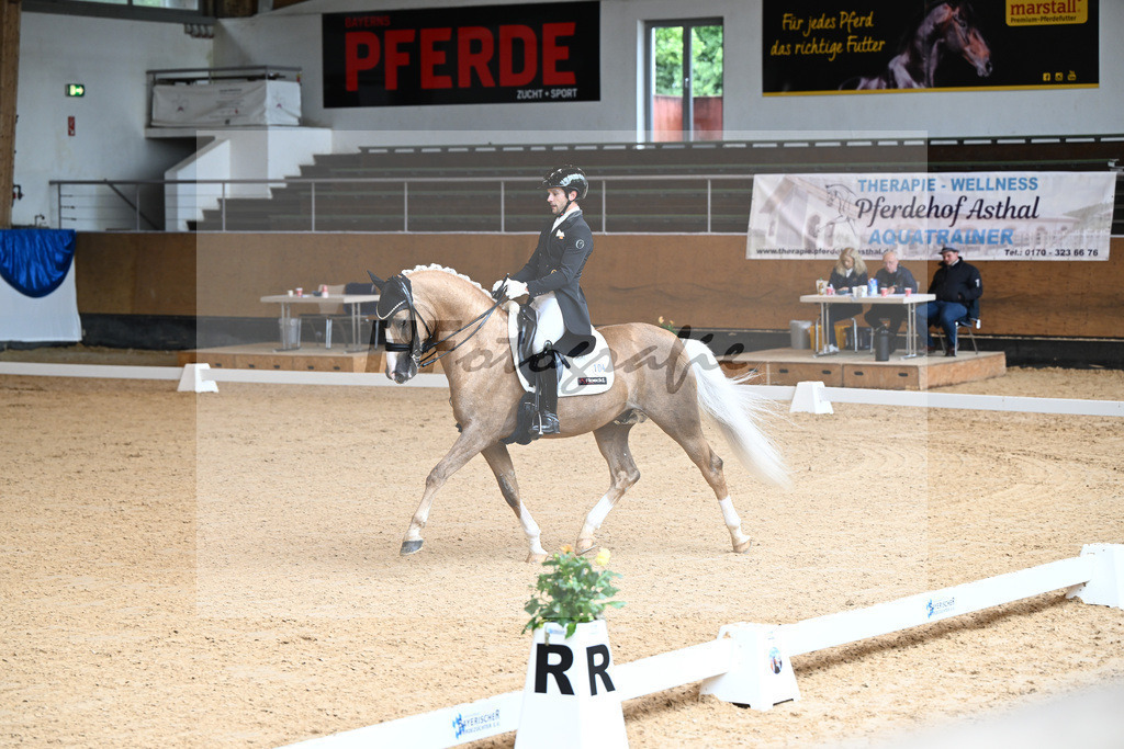 Kat-Nr. 104 Nemo V NRW_Arroyo Penaranda_14241850 | hf-fotografie - Realisiert mit Pictrs.com