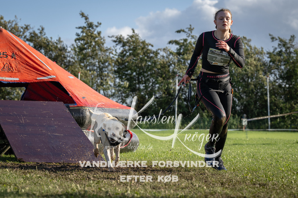 1447-94995 | kk-dogfotos