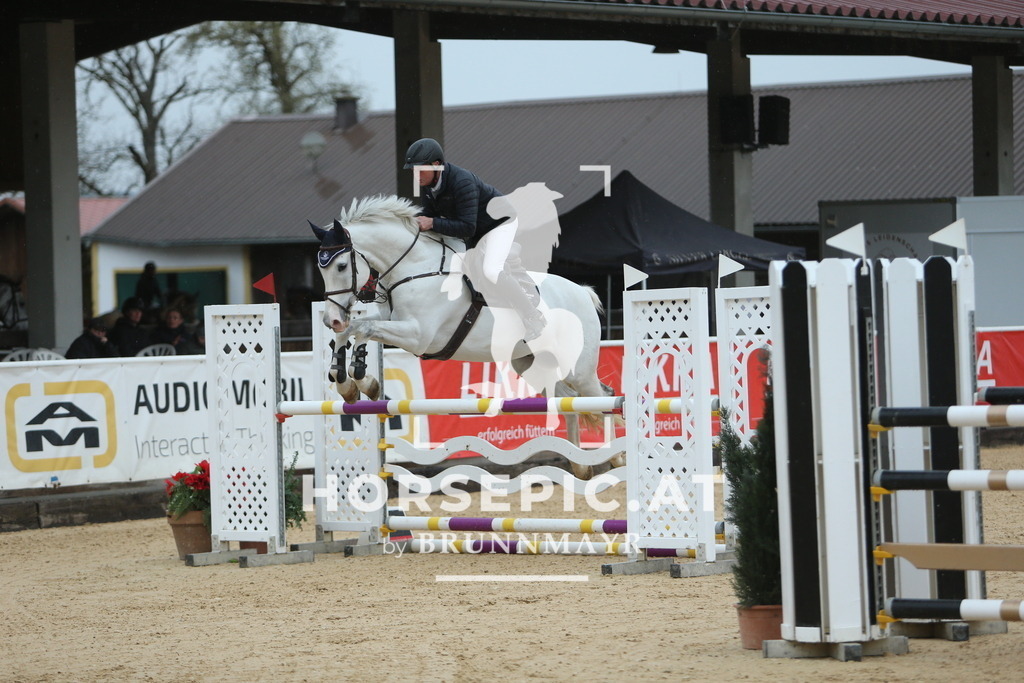 DL2Q6692 | Willkommen bei Brunnmayr - Design & Fotografie – Ihrem Spezialisten für Reitturniere und Pferdeveranstaltungen in Oberösterreich, Salzburg und Bayern! Seit über 17 Jahren sind wir leidenschaftlich dabei.