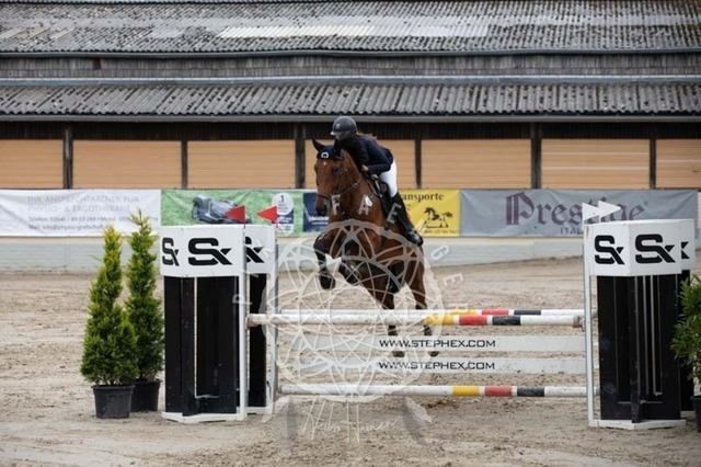 2B4A1538 | pixelfaenger - Realisiert mit Pictrs.com