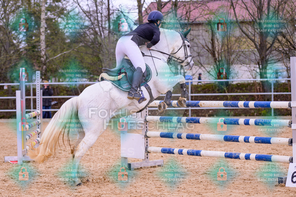 12042026-Mammendorf-Prfg43-0022 | Fokus Hufschlag Fotografie - Realisiert mit Pictrs.com