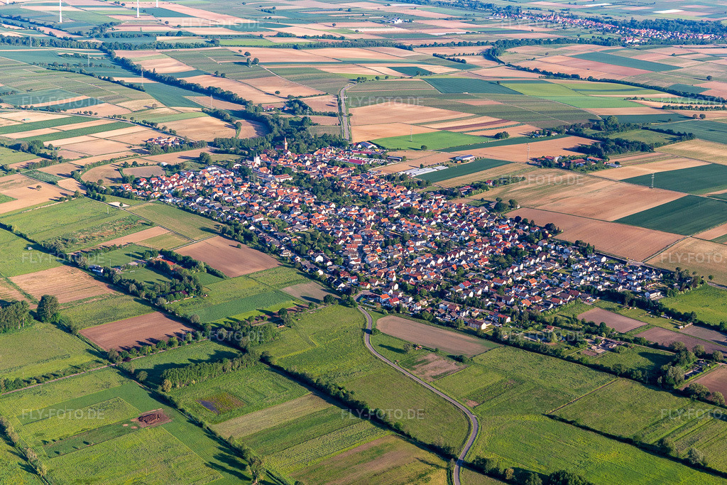 Luftbild: Ortsansicht aus Südosten in Minfeld im Bundesland Rheinland-Pfalz in Deutschland. Foto: IMG_131505.jpg vom 18.05.2022 durch Werner Riehm/FLY-FOTO.de