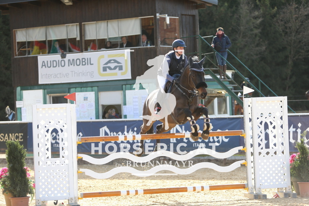 DL2Q0859 | Willkommen bei Brunnmayr - Design & Fotografie – Ihrem Spezialisten für Reitturniere und Pferdeveranstaltungen in Oberösterreich, Salzburg und Bayern! Seit über 17 Jahren sind wir leidenschaftlich dabei.