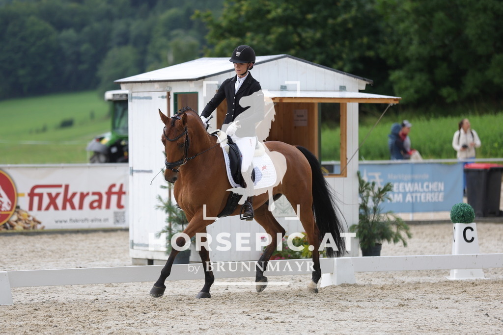 0P6A8736 | Willkommen bei Brunnmayr - Design & Fotografie – Ihrem Spezialisten für Reitturniere und Pferdeveranstaltungen in Oberösterreich, Salzburg und Bayern! Seit über 17 Jahren sind wir leidenschaftlich dabei.