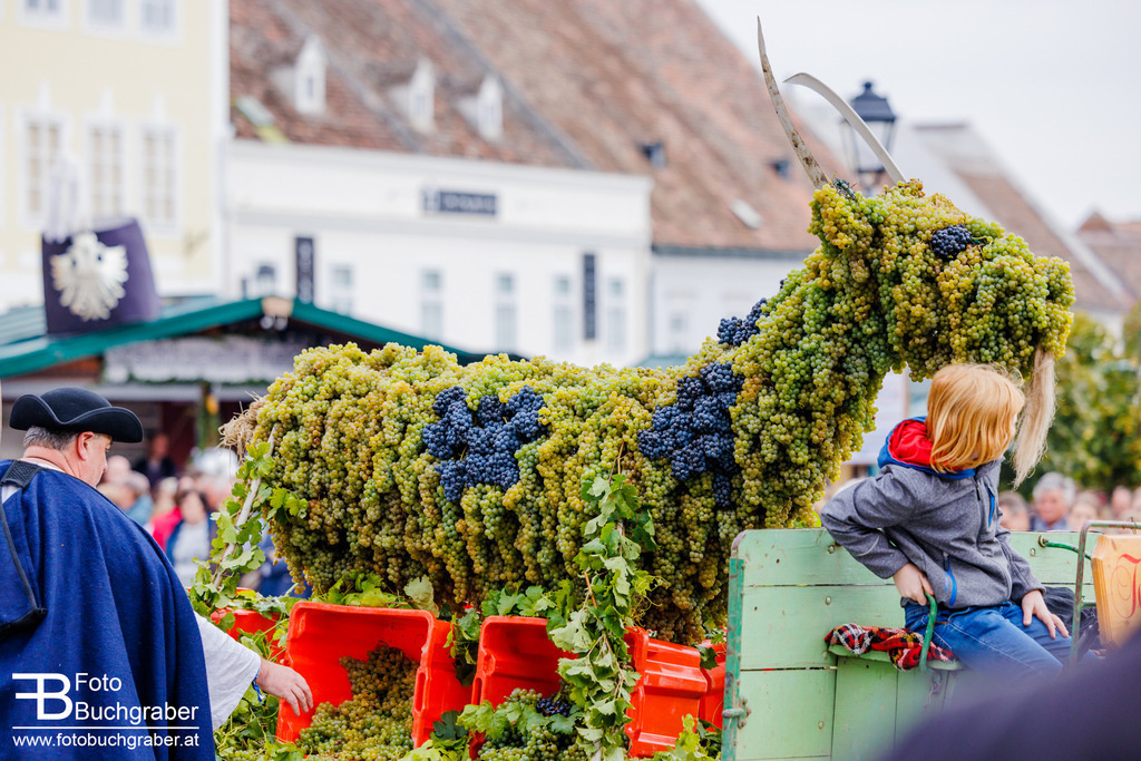 0530_B5_27154 | Foto Buchgraber