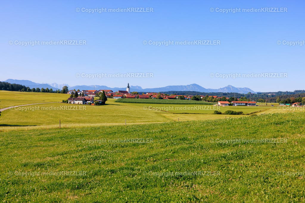 Otting | medienkrizzler - Realisiert mit Pictrs.com