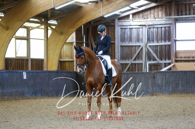 IMG_0294 | Turniersportfotografie; Pferdefotografie; Dressurfotografie