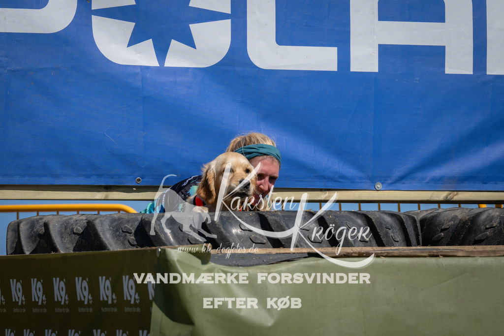 1239_ZZ95927 | kk-dogfotos