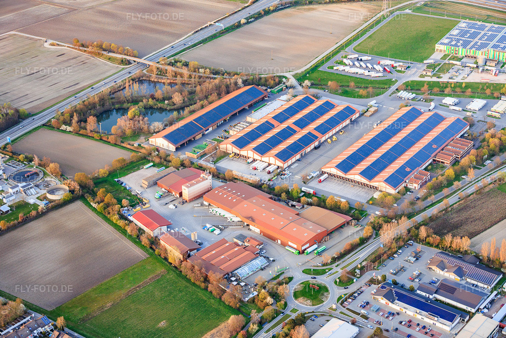 Luftbild: Hallen des Pfalzmarkt für Obst und Gemüse eG in Mutterstadt im Bundesland Rheinland-Pfalz in Deutschland. Foto: IMG_153633.jpg vom 23.03.2026 durch Werner Riehm/FLY-FOTO.deAuflösung des Originals: 5906 x 3937 pxPfalzmarkt