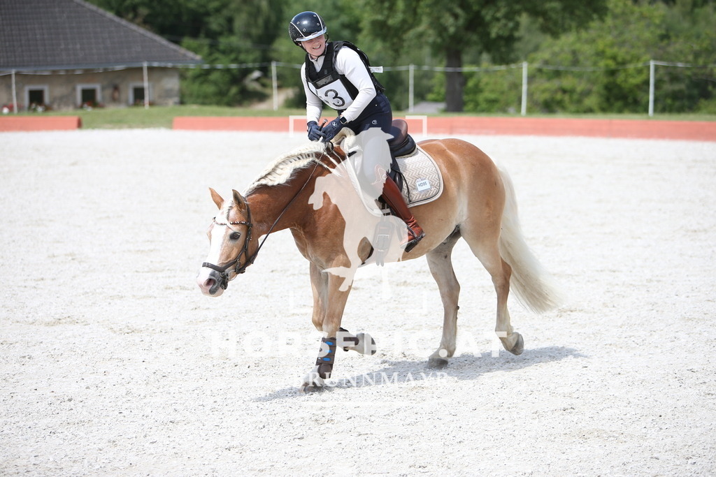 PP014732 | Willkommen bei Brunnmayr - Design & Fotografie – Ihrem Spezialisten für Reitturniere und Pferdeveranstaltungen in Oberösterreich, Salzburg und Bayern! Seit über 17 Jahren sind wir leidenschaftlich dabei.