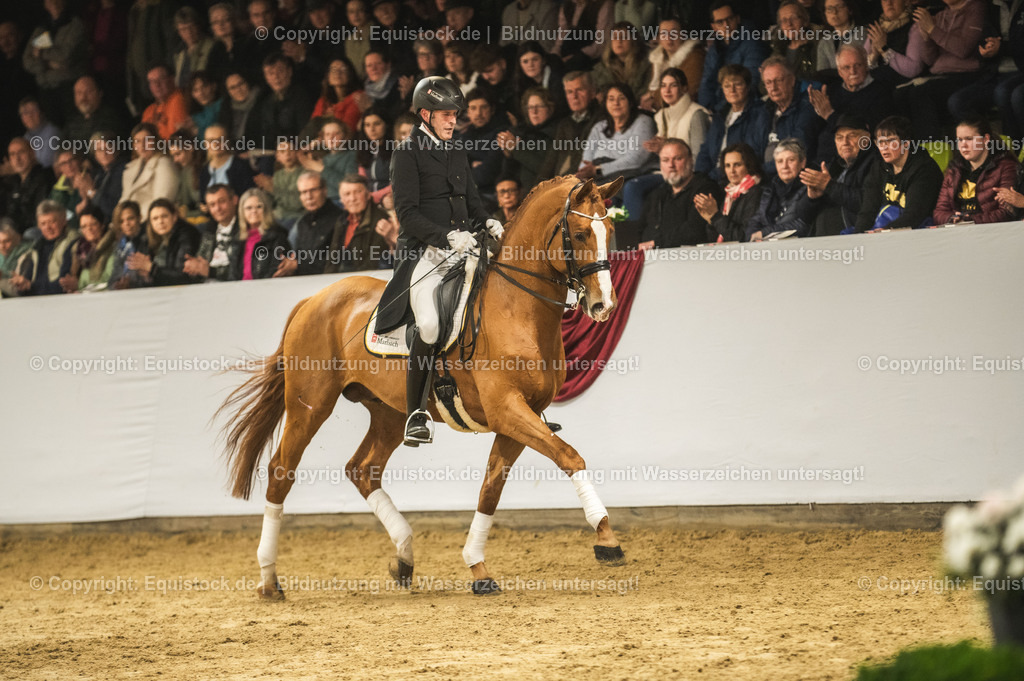 20240302_Hengstvorstellung_Marbach_TOMsPiC_0956 | equistock