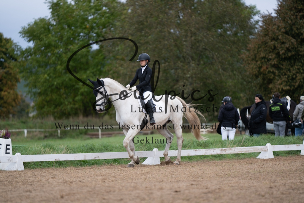 A7V05280 | Pferdefotograf