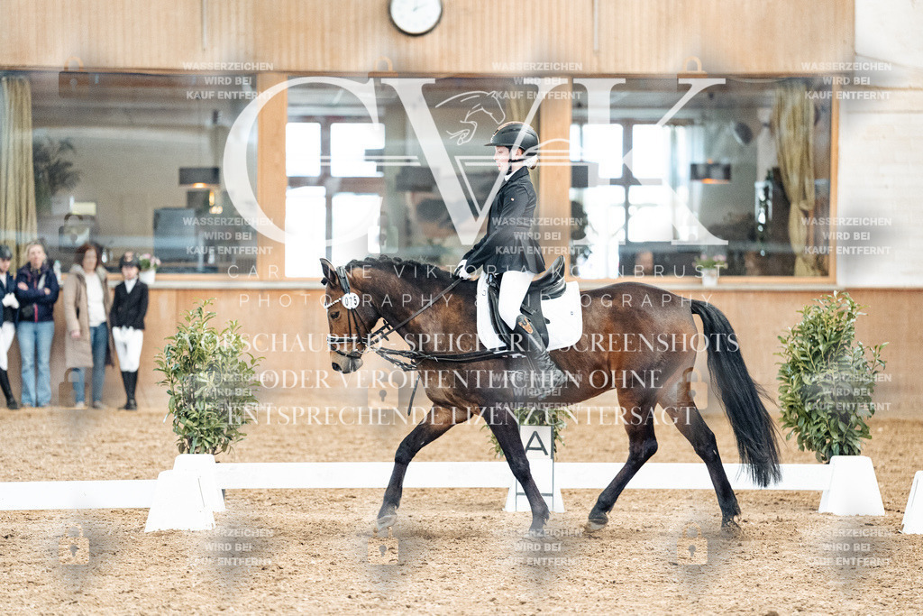 CK909926 | Turnierfotografie Pferdefotografie Trier Rheinland-Pfalz Pferdesport Reitsport Tierfotografie Sportfotografie Pferdevideo Pferdevideografie Equestrianvideography equestrianphotography  - Realisiert mit Pictrs.com