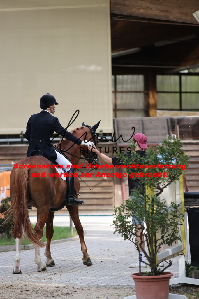 IMG_6505 | lmwpictures - Realisiert mit Pictrs.com