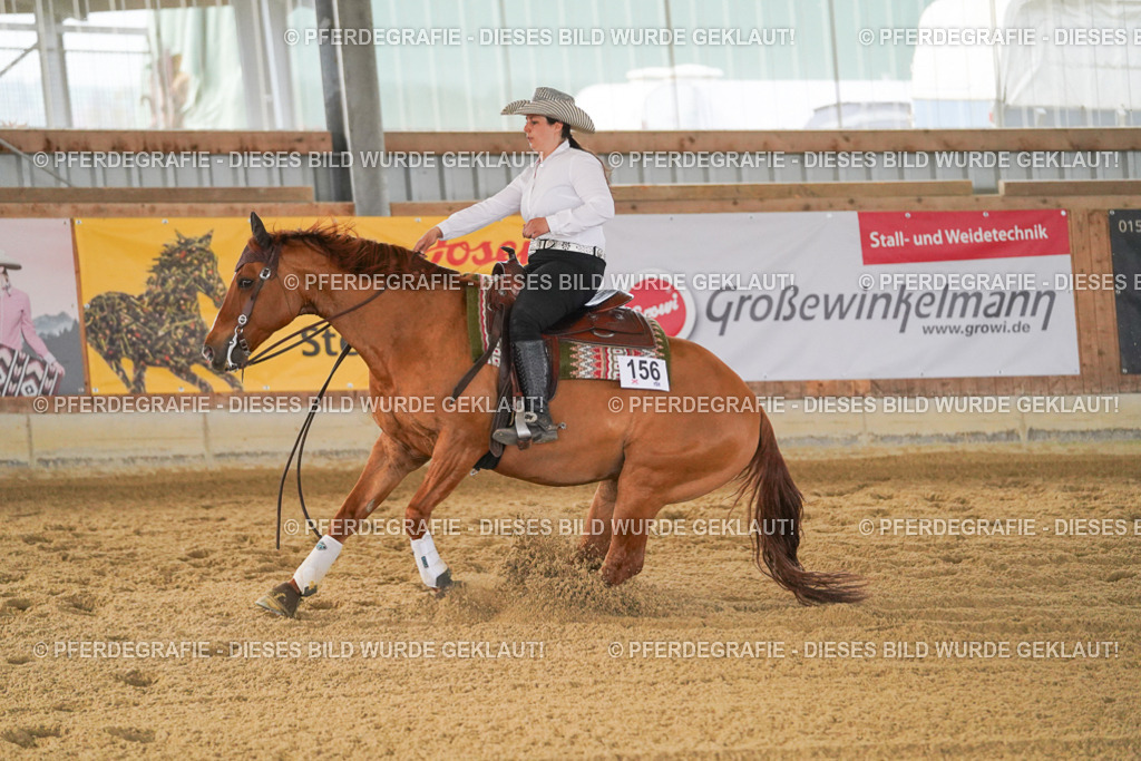 DSC08314 | Pferdegrafie