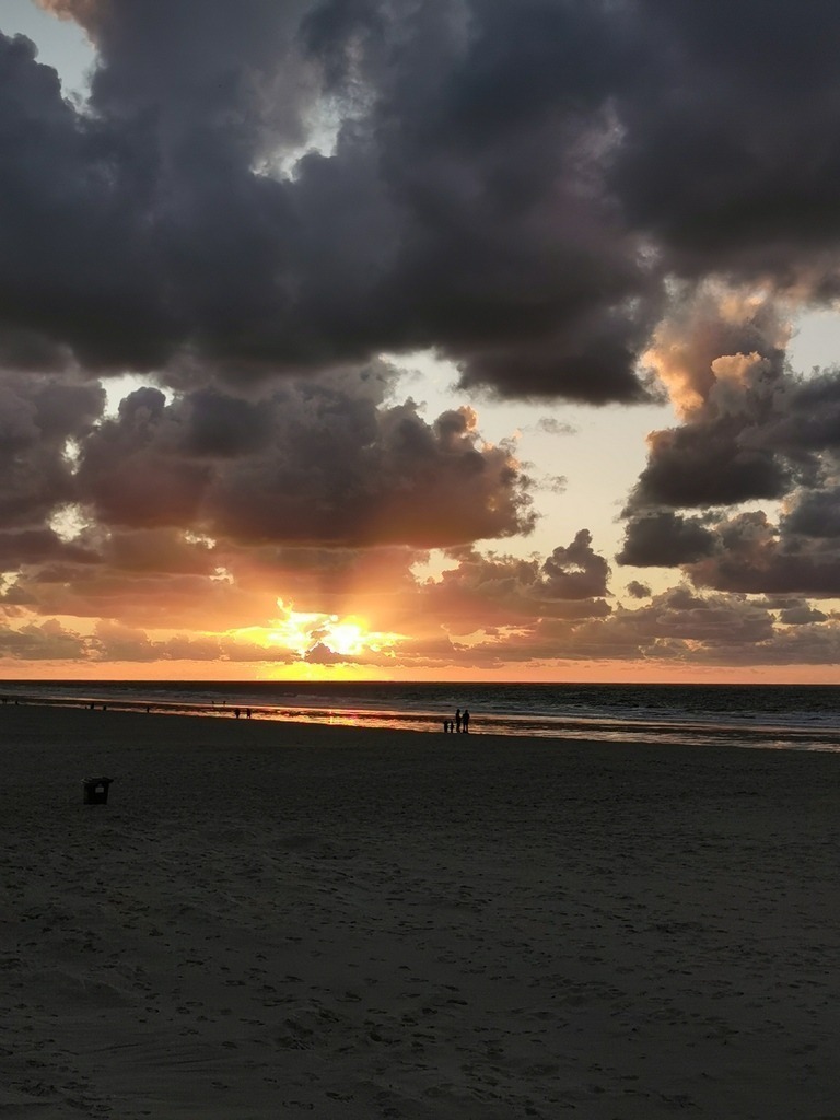 IMG_20231014_184834 | Pandiboo - Realisiert mit Pictrs.com