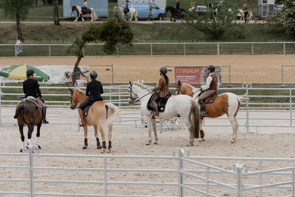 WE__Stoib_Rinder_PI2025_3123 | Pferd International München 2025