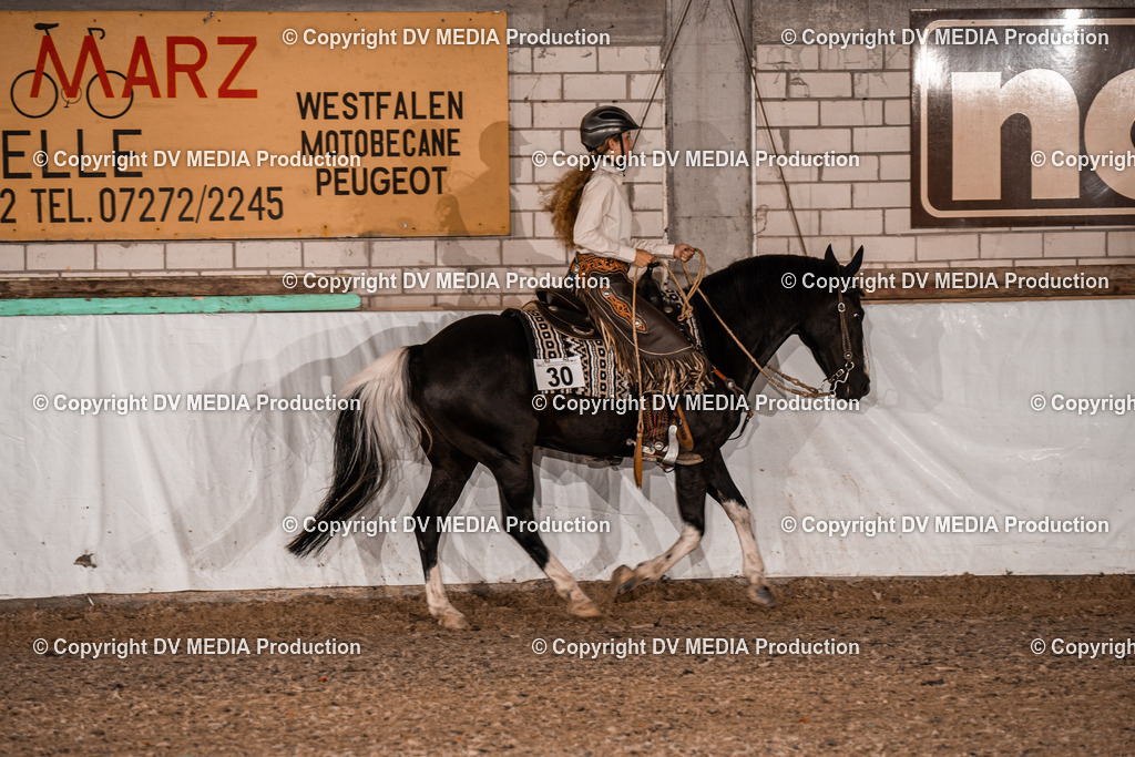 ZH300237 | dv-media-shop - Realisiert mit Pictrs.com