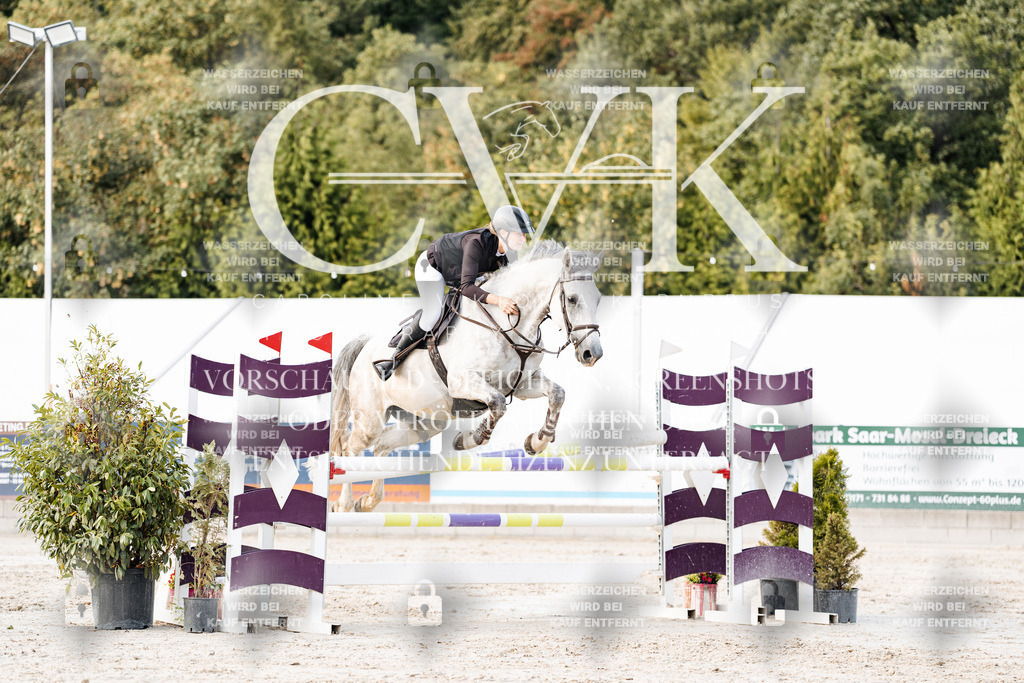 CK903660 | Turnierfotografie Pferdefotografie Trier Rheinland-Pfalz Pferdesport Reitsport Tierfotografie Sportfotografie Pferdevideo Pferdevideografie Equestrianvideography equestrianphotography  - Realisiert mit Pictrs.com