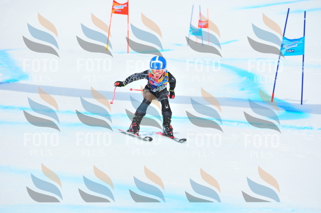 DSC_2062 | holidayphoto