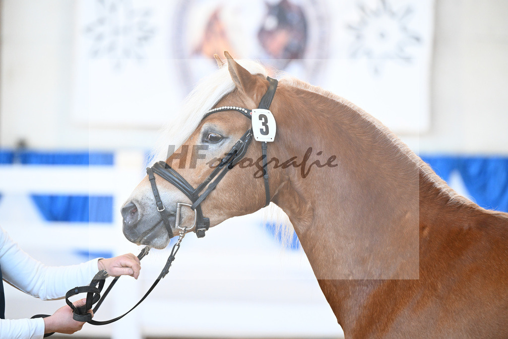 Kat-Nr. 3 Antholz K v. Actros NR_Kappelsberger_8260053 | hf-fotografie - Realizzato con Pictrs.com