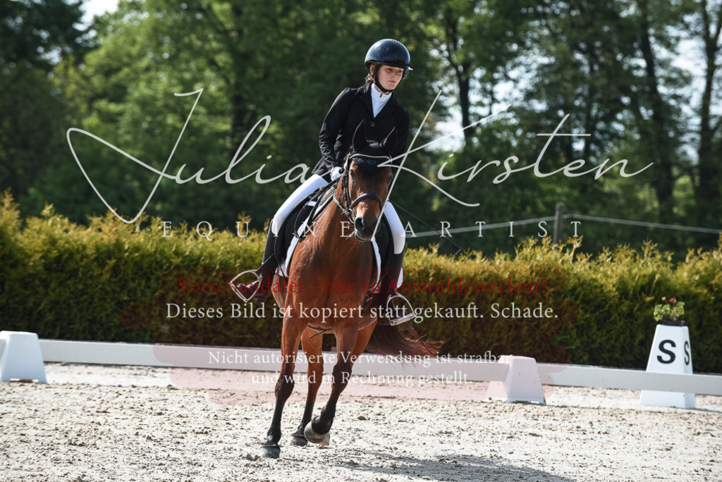 20230518_JK-Röhrsdorf-09-1421 | Pferde- und Turnierfotografie in Westsachsen. Pferdeportraits, Auftragszeichnungen und intuitive Kunst.