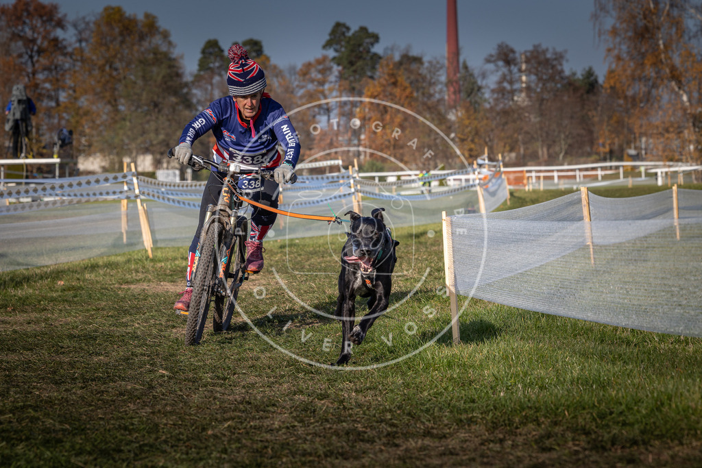 CaniXpix_0L8A7674 | Hundefotografie, Tierfotograf, Pfotenfotografie, Fotoshooting Hund, Hunde Portrait, Hundesport, Hundeportraits, Heideshooting, Hunde, Sportfotograf, Hundefotograf, Turnierhundsport, THS,  - Realisiert mit Pictrs.com