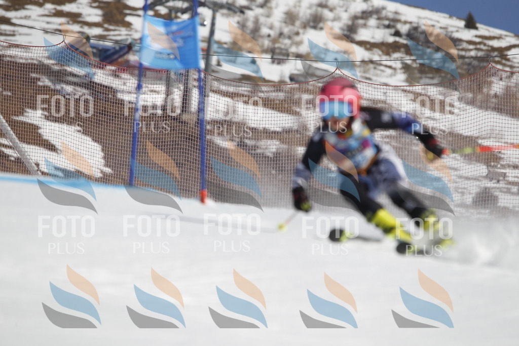 _U3G8997 | holidayphoto