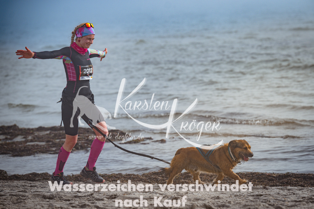 1139_ZZ99932 | kk-dogfotos