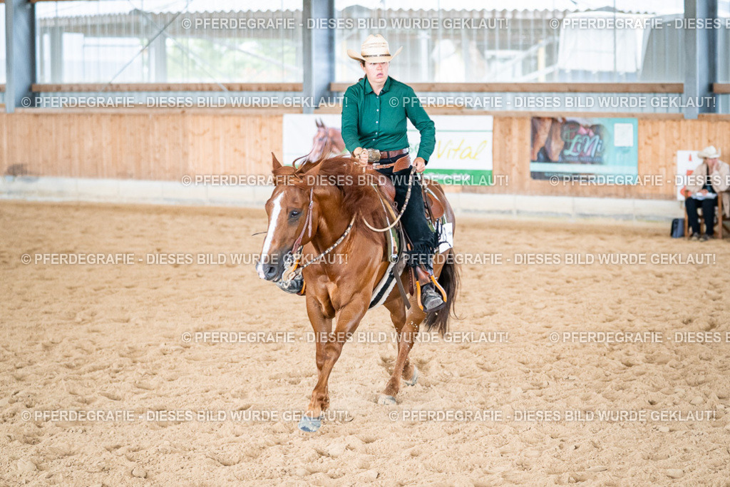 DSC03776 | Pferdegrafie