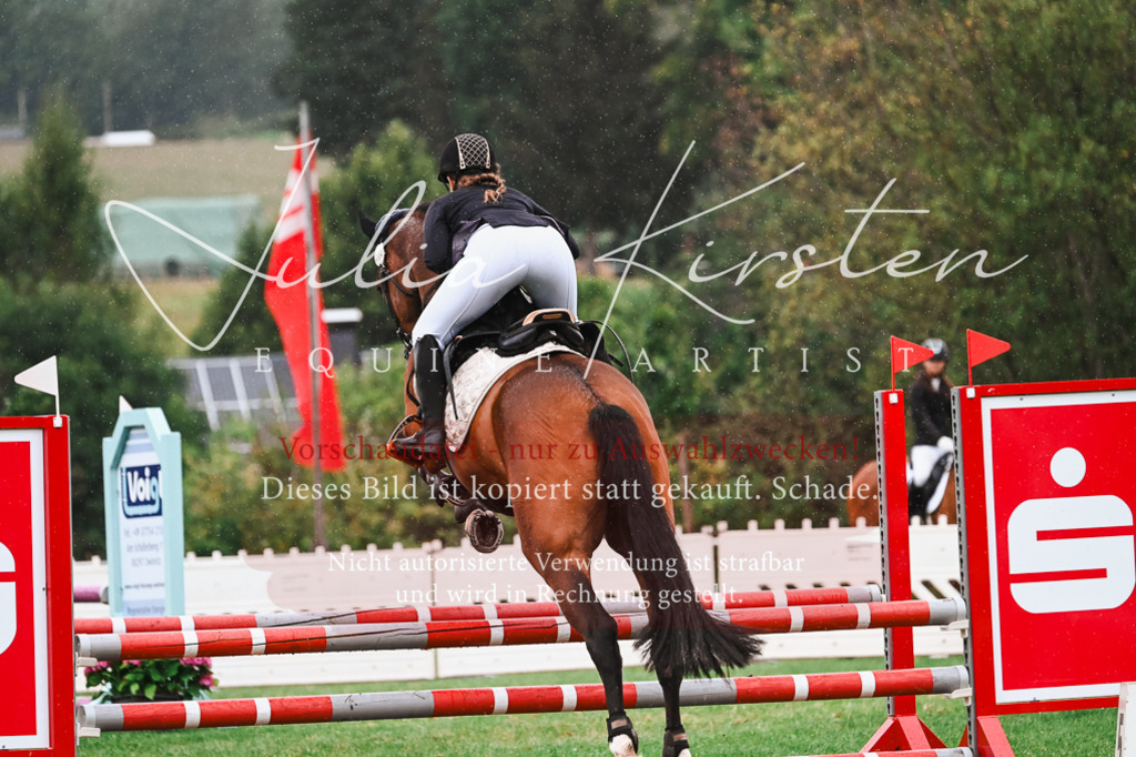 DSC_6607 | Pferde- und Turnierfotografie in Westsachsen. Pferdeportraits, Auftragszeichnungen und intuitive Kunst.
