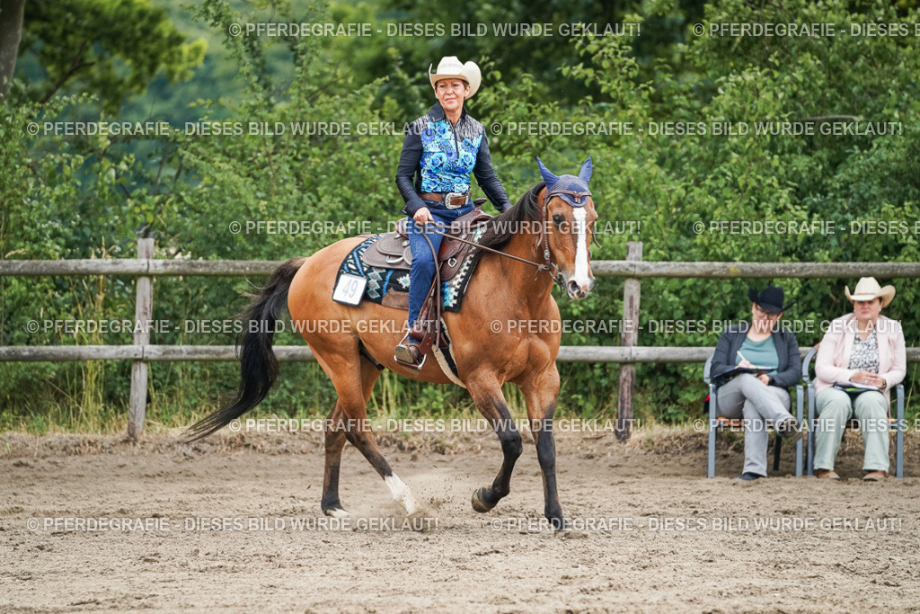 DSC03326 | Pferdegrafie