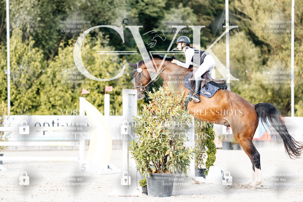 CK903333 | Turnierfotografie Pferdefotografie Trier Rheinland-Pfalz Pferdesport Reitsport Tierfotografie Sportfotografie Pferdevideo Pferdevideografie Equestrianvideography equestrianphotography  - Realisiert mit Pictrs.com