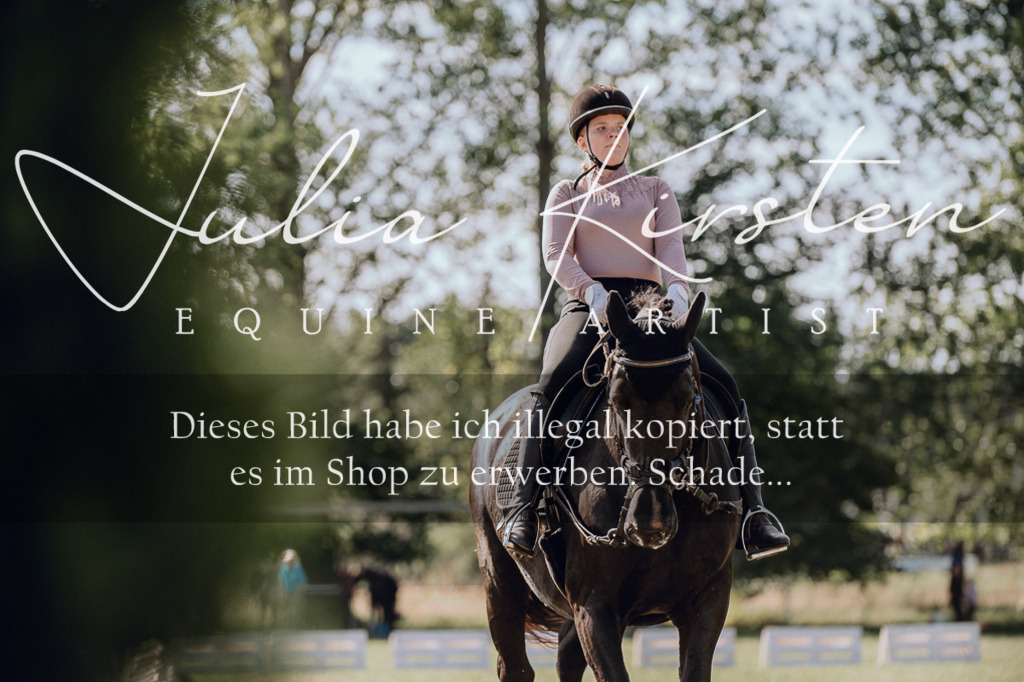 DSC_7129 | Pferde- und Turnierfotografie in Westsachsen. Pferdeportraits, Auftragszeichnungen und intuitive Kunst.