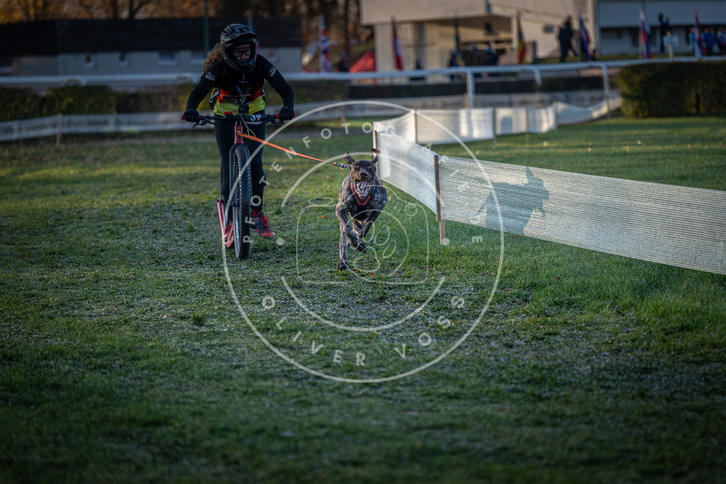 CaniXpix_0L8A1890 | Hundefotografie, Tierfotograf, Pfotenfotografie, Fotoshooting Hund, Hunde Portrait, Hundesport, Hundeportraits, Heideshooting, Hunde, Sportfotograf, Hundefotograf, Turnierhundsport, THS,  - Realisiert mit Pictrs.com