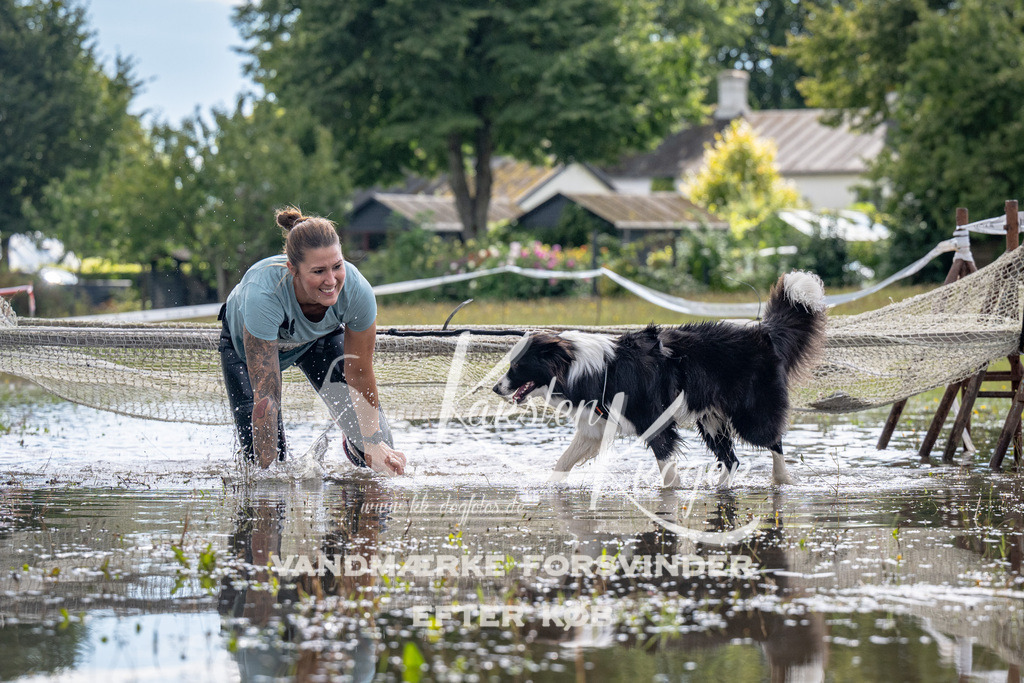 1341_ZZ90582 | kk-dogfotos