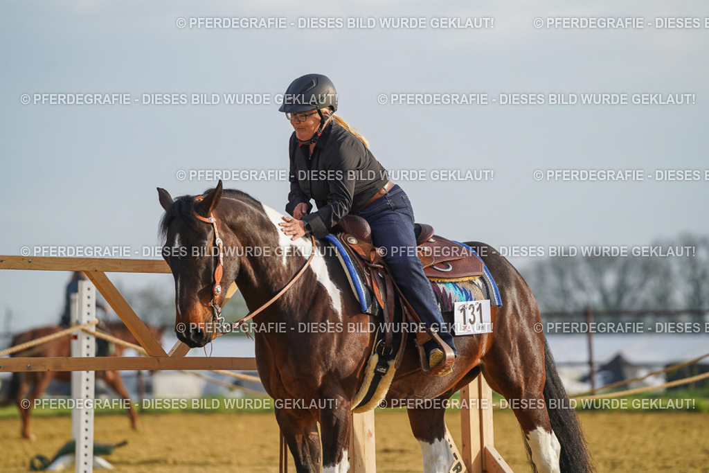 DSC09884 | Pferdegrafie