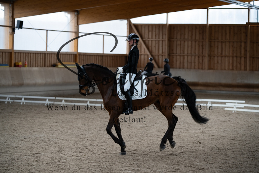 A7V09737 | Pferdefotograf