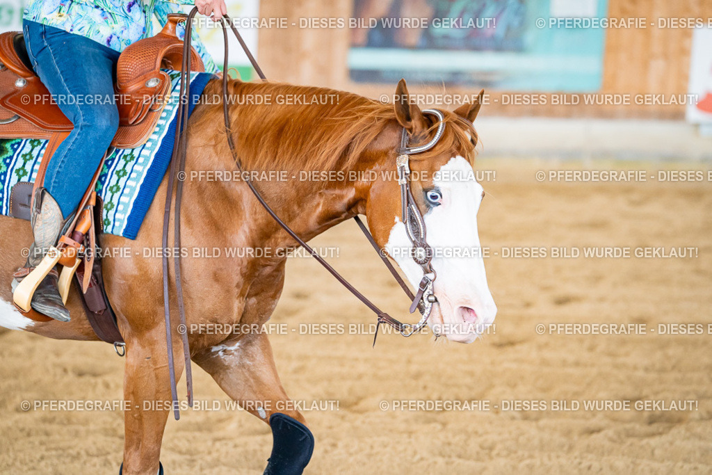 DSC05011 | Pferdegrafie