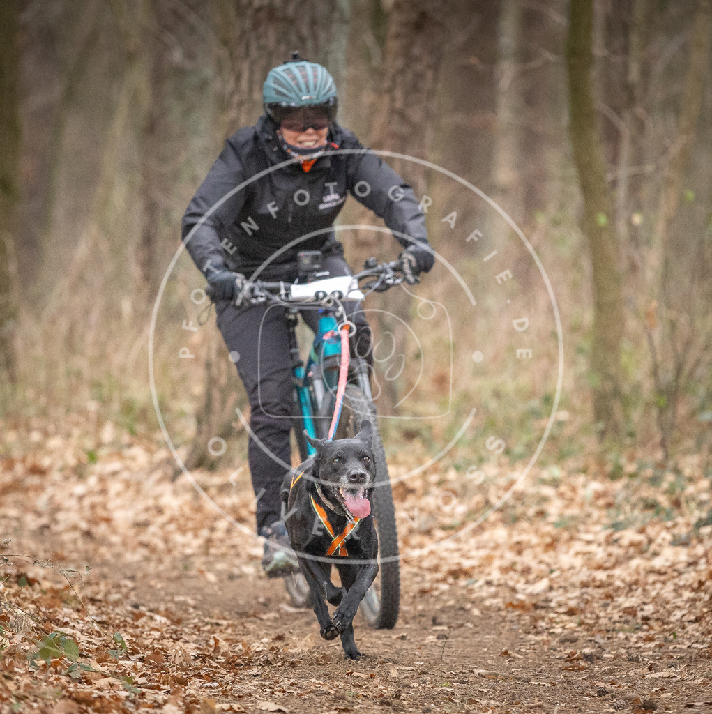 Pfotenfotografie_DV3A6039 | Hundefotografie, Tierfotograf, Pfotenfotografie, Fotoshooting Hund, Hunde Portrait, Hundesport, Hundeportraits, Heideshooting, Hunde, Sportfotograf, Hundefotograf, Turnierhundsport, THS,  - Realisiert mit Pictrs.com