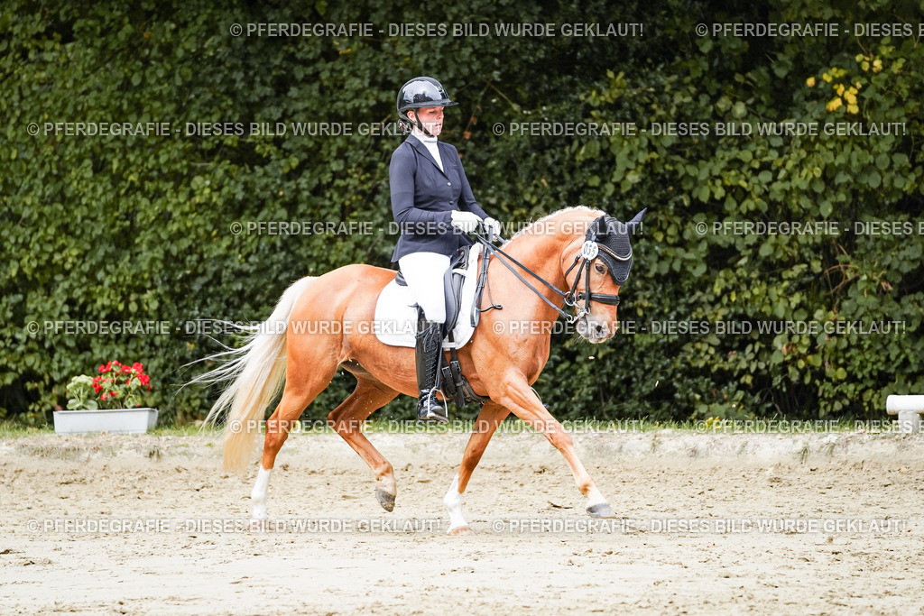 DSC04114 | Pferdegrafie