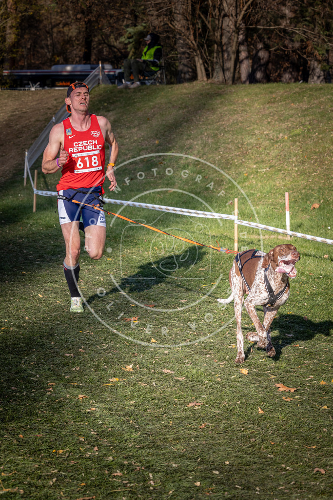 CaniXpix_0L8A8753 | Hundefotografie, Tierfotograf, Pfotenfotografie, Fotoshooting Hund, Hunde Portrait, Hundesport, Hundeportraits, Heideshooting, Hunde, Sportfotograf, Hundefotograf, Turnierhundsport, THS,  - Realisiert mit Pictrs.com