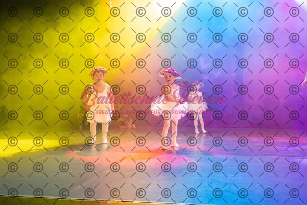 Ballettaufführung-57 | Bildershop Lem'n Entertainment - Realisiert mit Pictrs.com