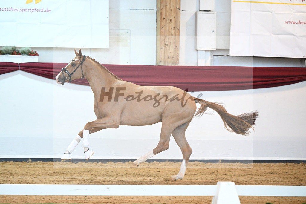 Kat-Nr. 33 v. Fuerst Samarant_Berger_66220388 | hf-fotografie - Realisiert mit Pictrs.com