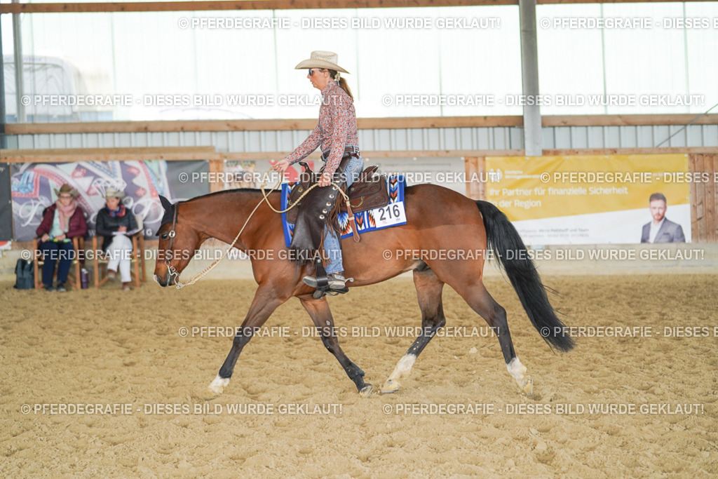 DSC01061 | Pferdegrafie